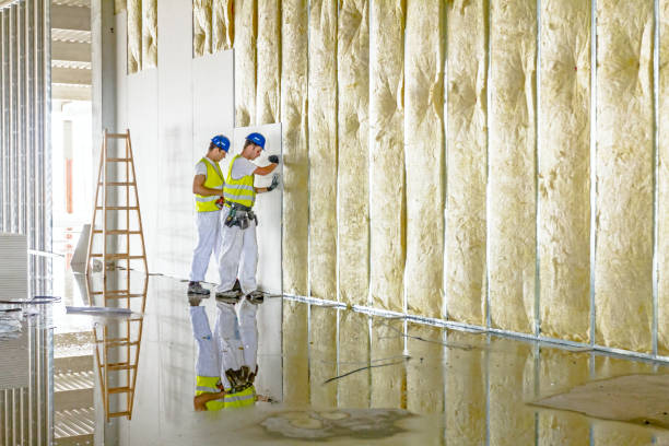 Best Spray Foam Insulation in Preston, IA